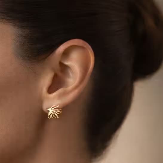 aretes ra ces